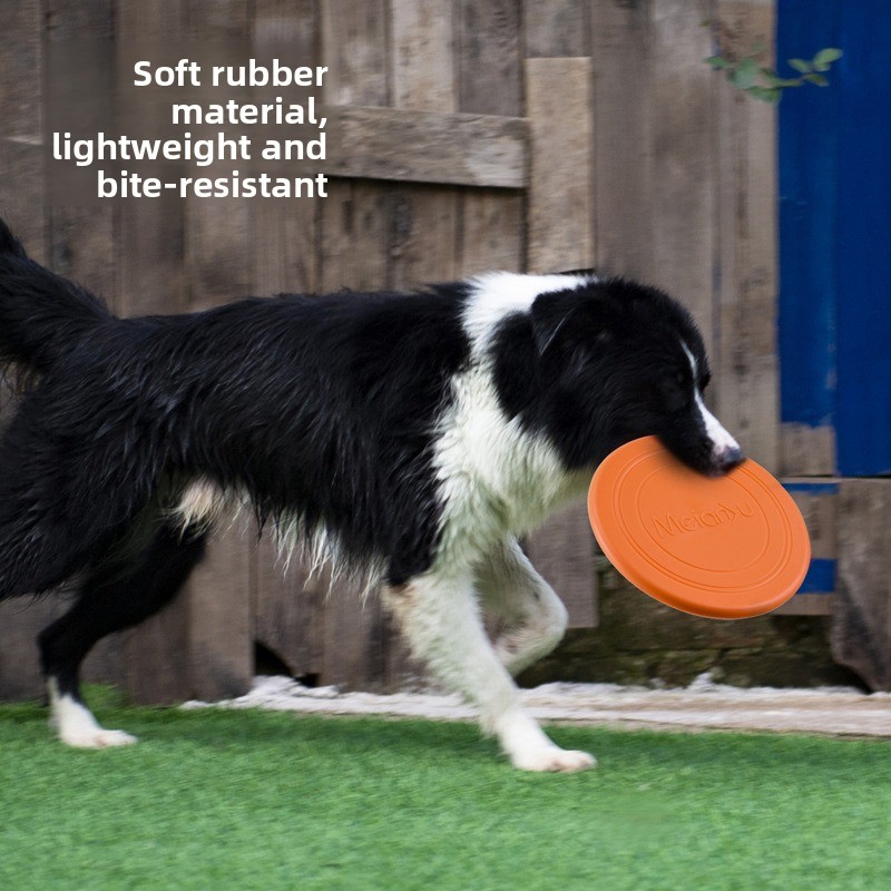 Soft Dog Flying Disc, Floating - đánh giá và giá Flying Disc Dog Training Toy