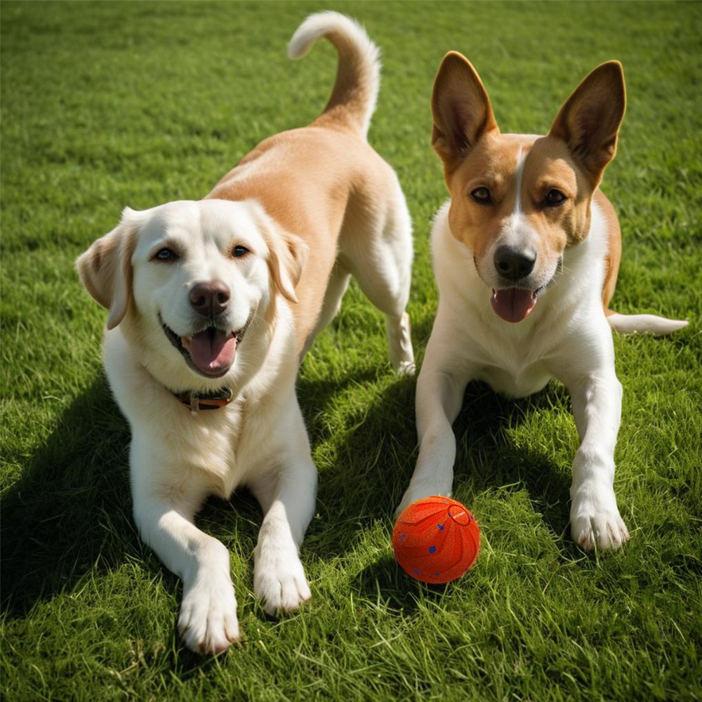 Bite Resistant Smart Dog Ball  - đánh giá và giá Automatic Moving Dog Ball