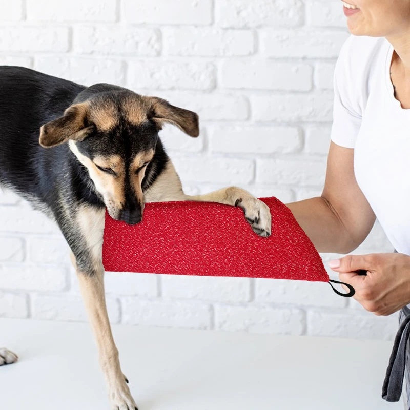 Dog Training Sleeves Puppy Bit - đánh giá và giá Interactive Squeaky Plush Dog Toy
