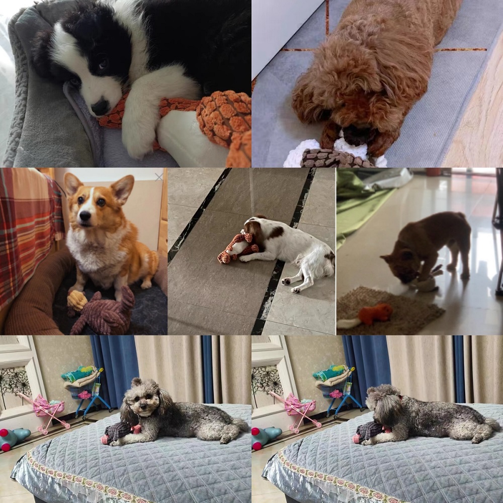 Animals Shape Squeaky Toys Plu - đánh giá và giá Interactive Squeaky Plush Dog Toy
