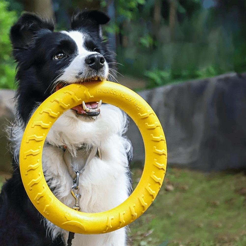 Dog Ring Toys Pet Flying Disk  - đánh giá và giá Interactive Squeaky Plush Dog Toy