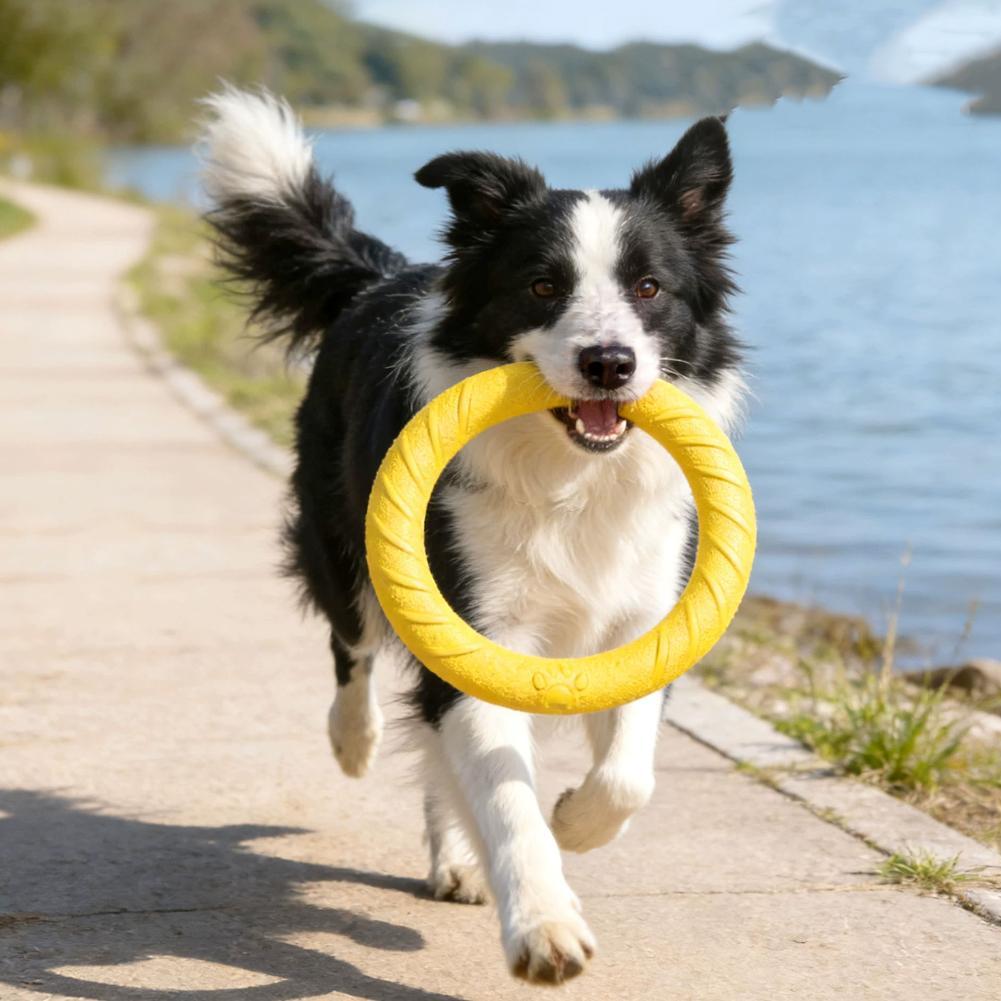 Dog Ring Toys Pet Flying Disk  - đánh giá và giá Interactive Squeaky Plush Dog Toy