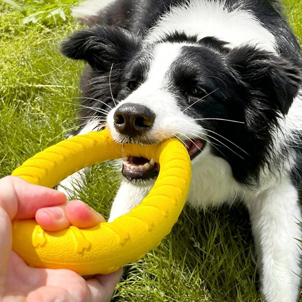 Dog Ring Toys Pet Flying Disk  - đánh giá và giá Interactive Squeaky Plush Dog Toy