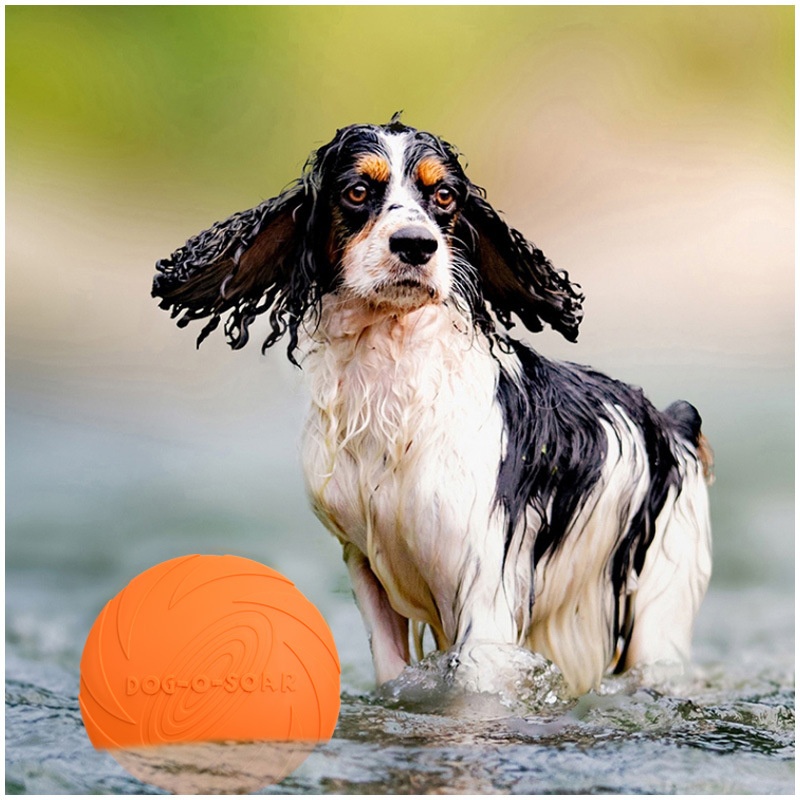 Interactive Silicone Flying Sa - đánh giá và giá Flying Disc Dog Training Toy