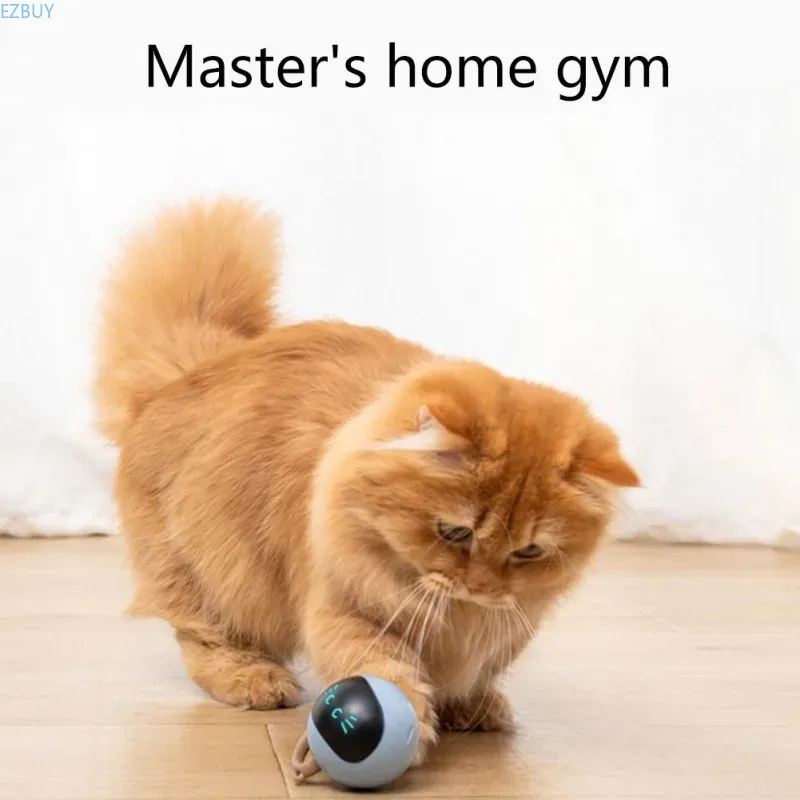 Interactive Cat Ball Toy USB R - đánh giá và giá Automatic Moving Dog Ball