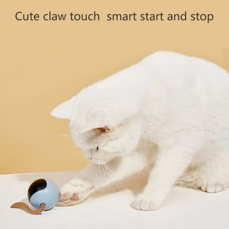Interactive Cat Ball Toy USB R - đánh giá và giá Automatic Moving Dog Ball