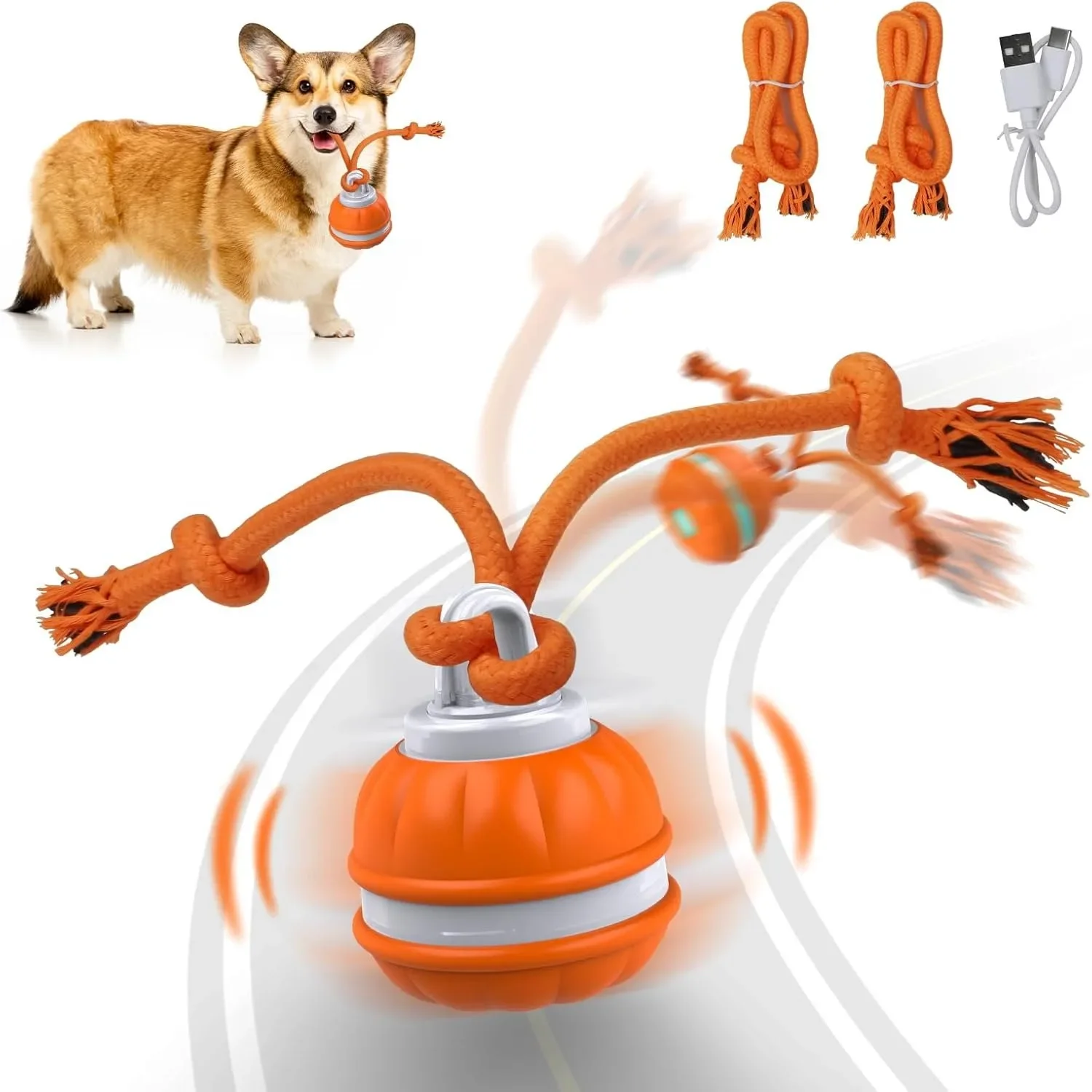 Pet Ball for Dogs Interactive  - đánh giá và giá Automatic Moving Dog Ball