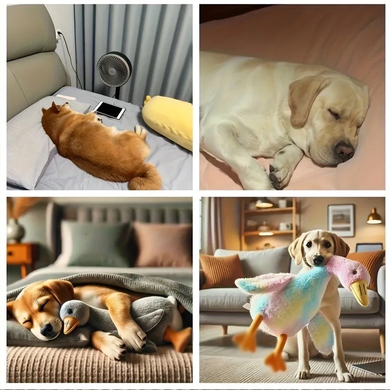 50cm Soft Colorful Duck Plush  - đánh giá và giá Interactive Squeaky Plush Dog Toy
