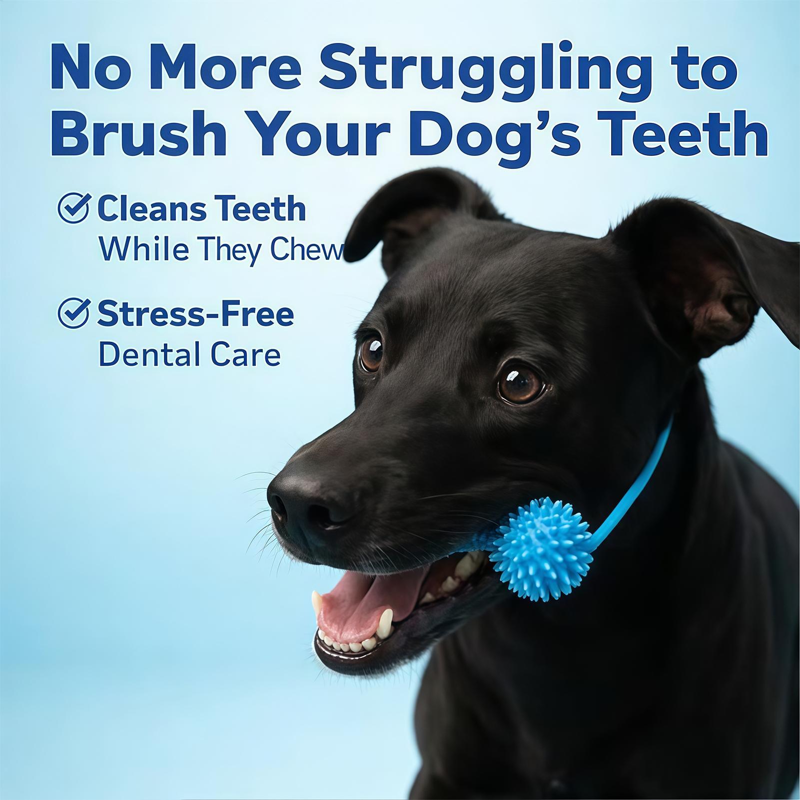 Dog Toothbrushing Toys Chewer  - đánh giá và giá Rubber Treat Dispensing Dog Toy