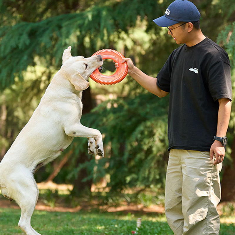 Dog Toys Funny Interactive Thr - đánh giá và giá Flying Disc Dog Training Toy
