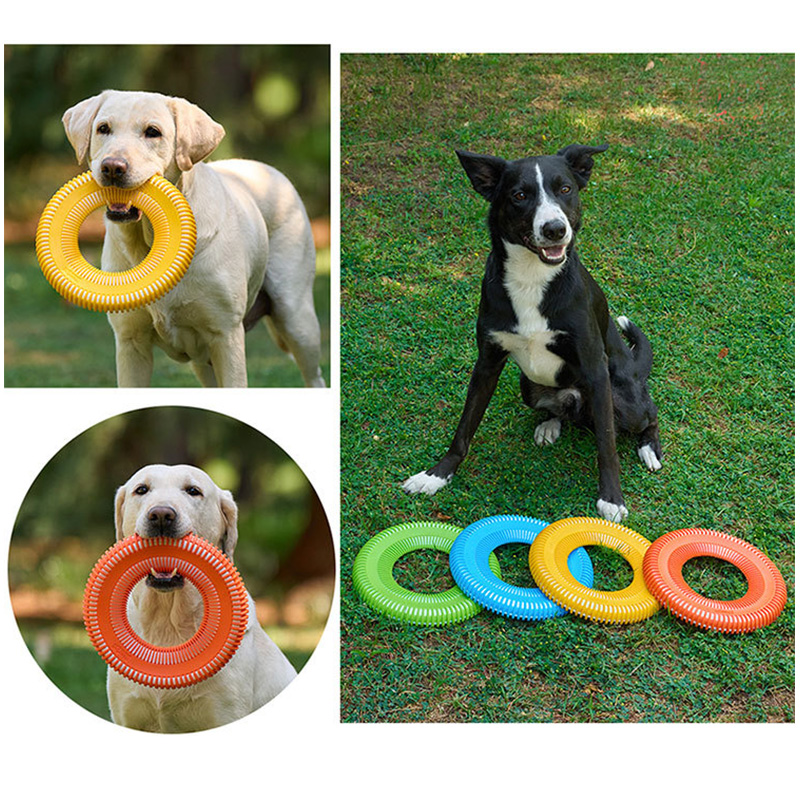 Dog Toys Funny Interactive Thr - đánh giá và giá Flying Disc Dog Training Toy