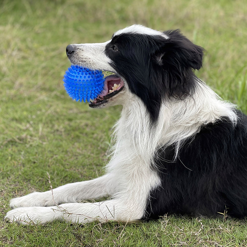 Dog Toy TPR Squeaky Thorn Ball - đánh giá và giá Interactive Squeaky Plush Dog Toy