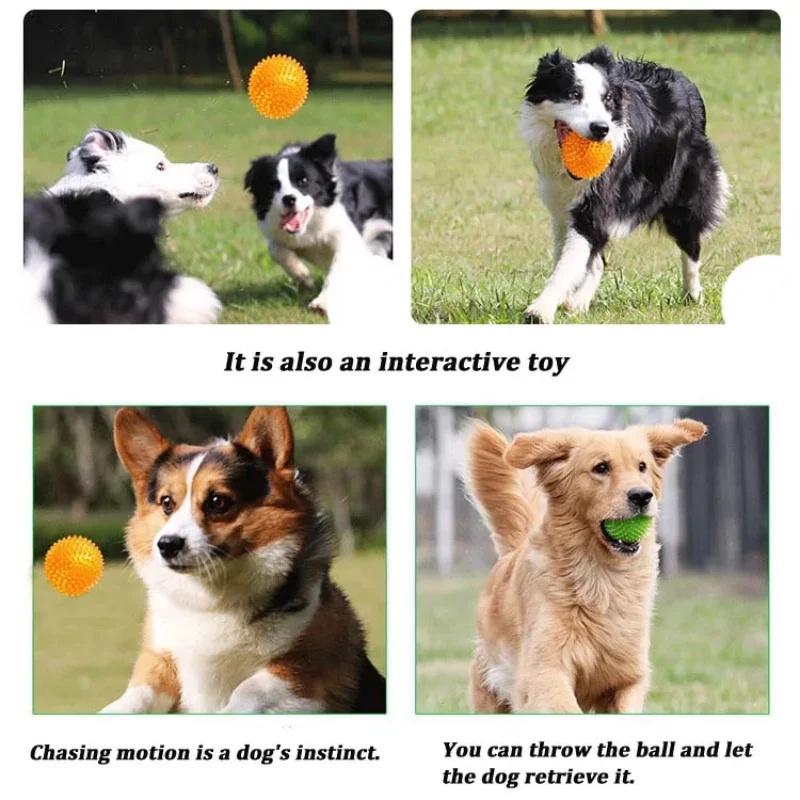 Dog Toy TPR Squeaky Thorn Ball - đánh giá và giá Interactive Squeaky Plush Dog Toy