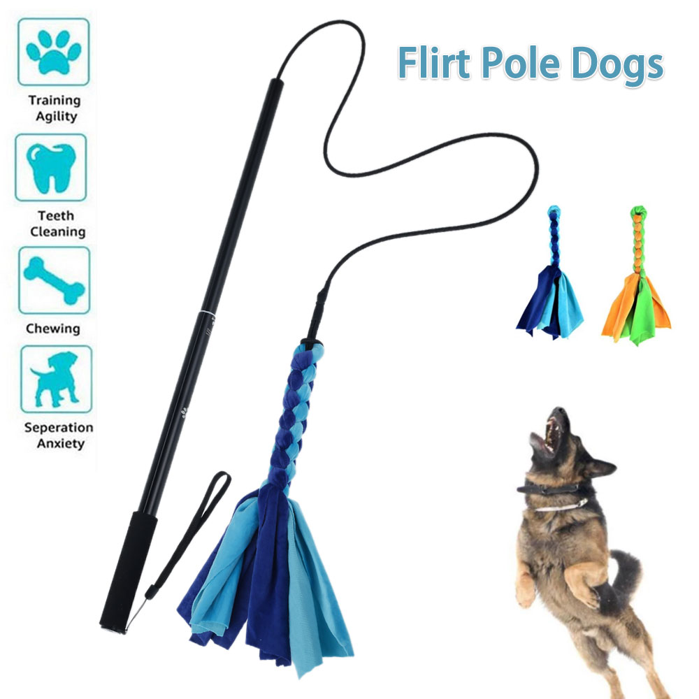 Dogs Flirt Lure Pole Stick Toy - đánh giá và giá Interactive Squeaky Plush Dog Toy