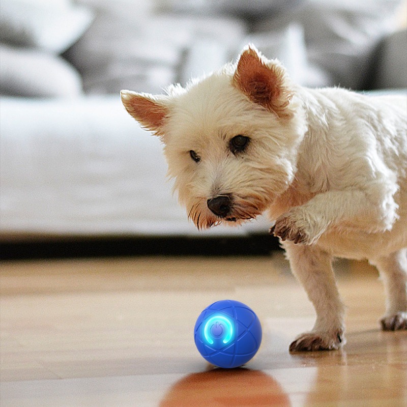 Smart Dog Toy Ball USB Automat - đánh giá và giá Interactive Squeaky Plush Dog Toy