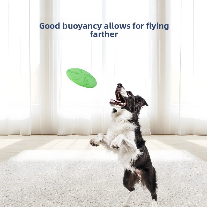 EVA Interactive Training Frisb - đánh giá và giá Flying Disc Dog Training Toy