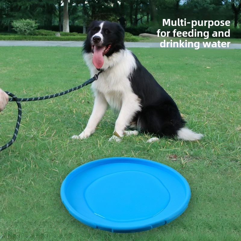 Multicolor Frisbeed Dog Toy 22 - đánh giá và giá Flying Disc Dog Training Toy