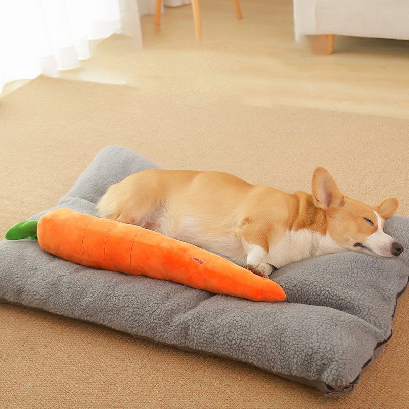 HOOPET Dog Toy Pet Carrot Plus - đánh giá và giá Indestructible Dog Chew Toy