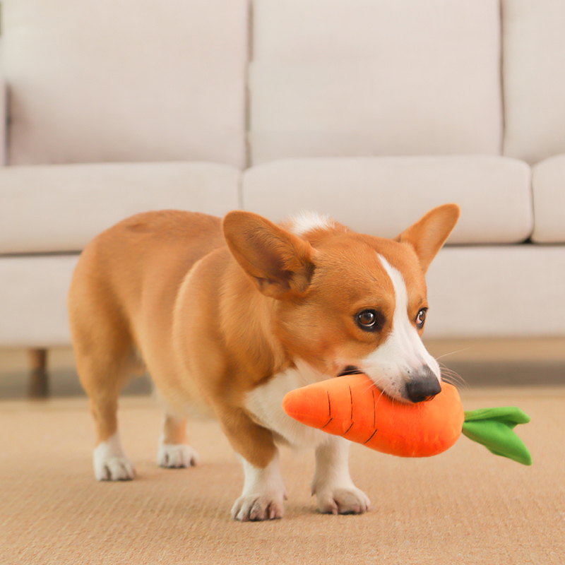 HOOPET Dog Toy Pet Carrot Plus - đánh giá và giá Indestructible Dog Chew Toy