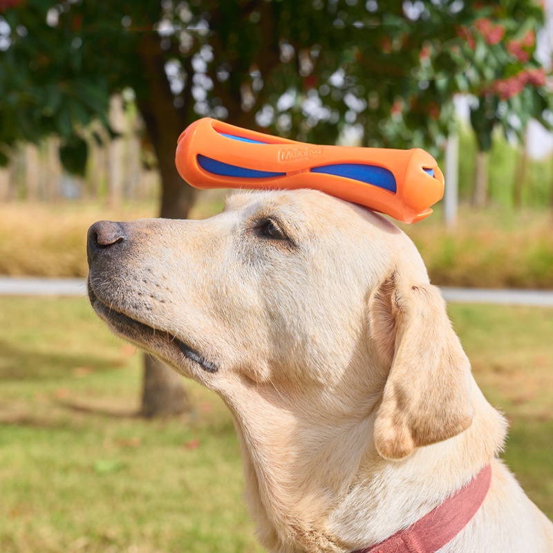 Dog Fetch Stick TPR EVA Floati - đánh giá và giá Indestructible Dog Chew Toy