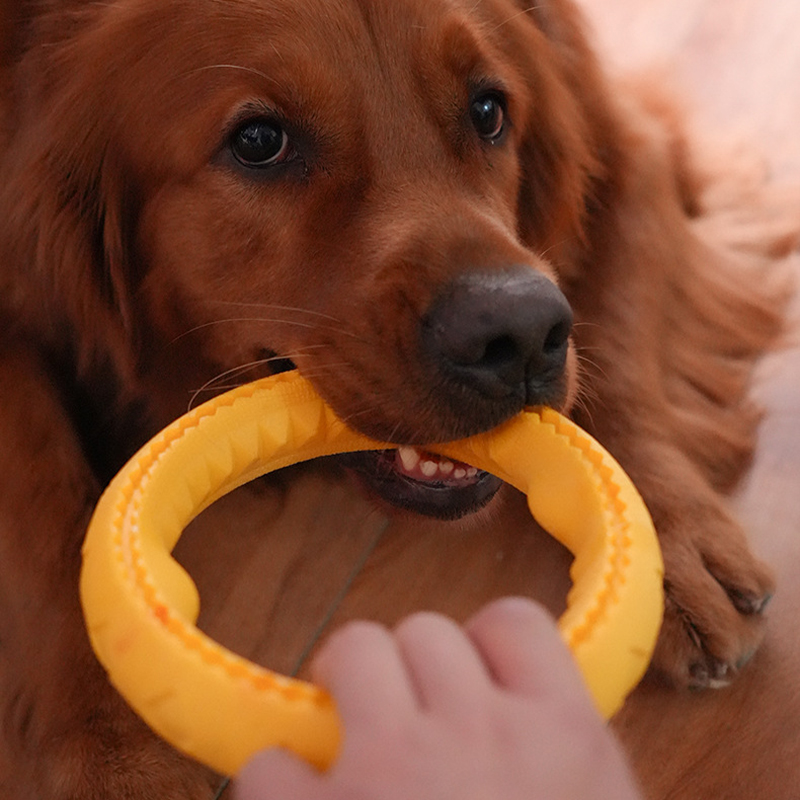 Pet Flying Discs Dog Training  - đánh giá và giá Flying Disc Dog Training Toy