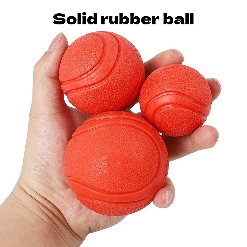 Dog Balls For Large Dogs Bounc - đánh giá và giá Interactive Squeaky Plush Dog Toy
