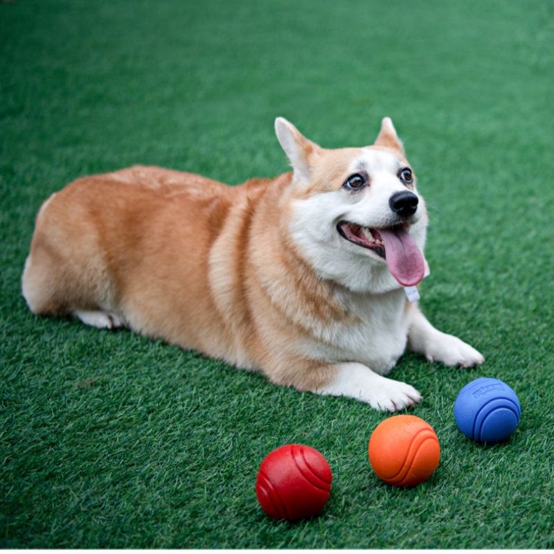 Dog Balls For Large Dogs Bounc - đánh giá và giá Interactive Squeaky Plush Dog Toy