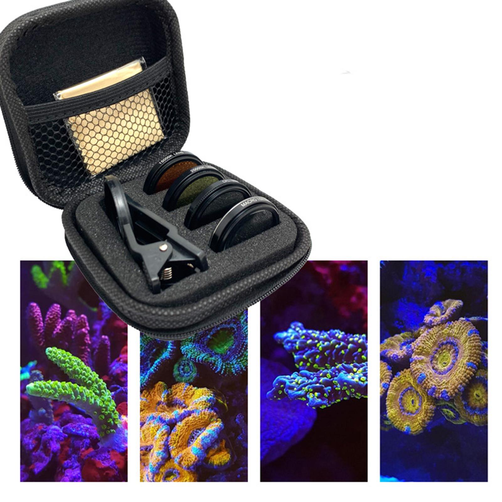 Fish Lens Camera Coral Reef Ph - đánh giá và giá Aquarium