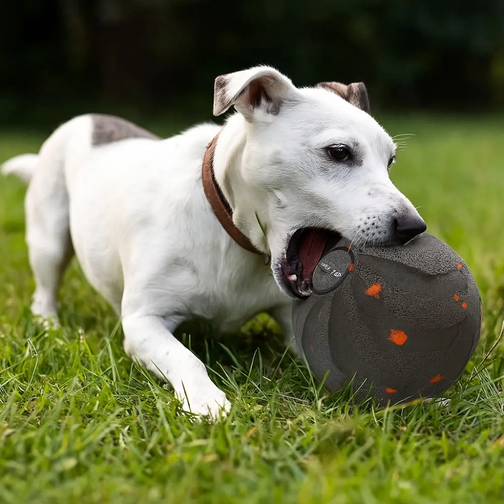 Bite Resistant Smart Dog Toy B - đánh giá và giá Automatic Moving Dog Ball