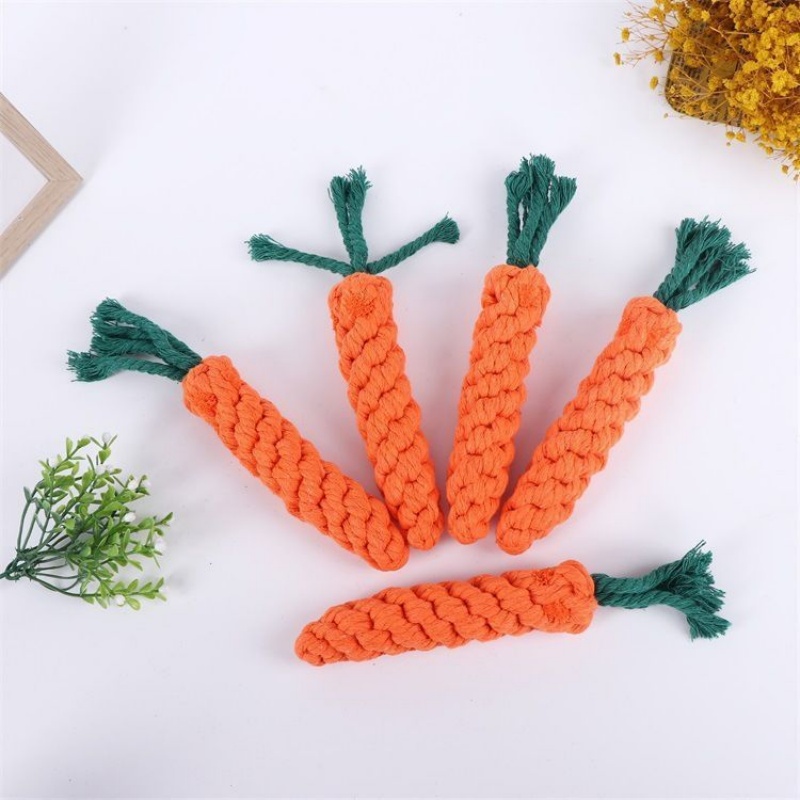 Carrot Dog Chew Rope Toy Safe  - đánh giá và giá Interactive Squeaky Plush Dog Toy